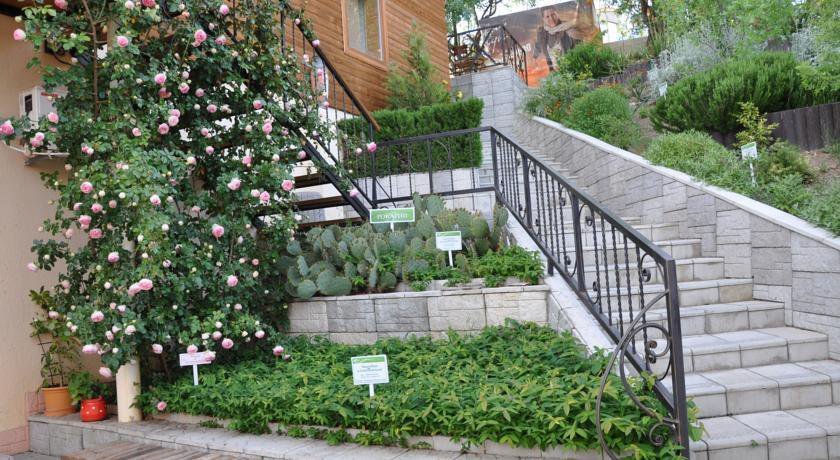 Гостиница Эспаньйола Солнечногорское-33