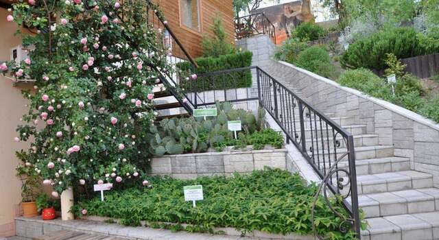 Гостиница Эспаньйола Солнечногорское-32