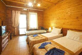 Гостиница Эспаньйола Солнечногорское Трехместный номер -1