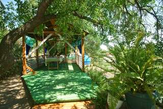 Гостиница Эспаньйола Солнечногорское Номер-студио-6